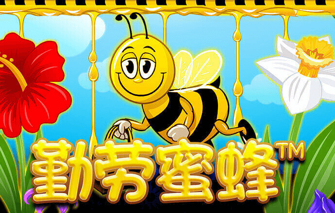 BTI体育官网APP